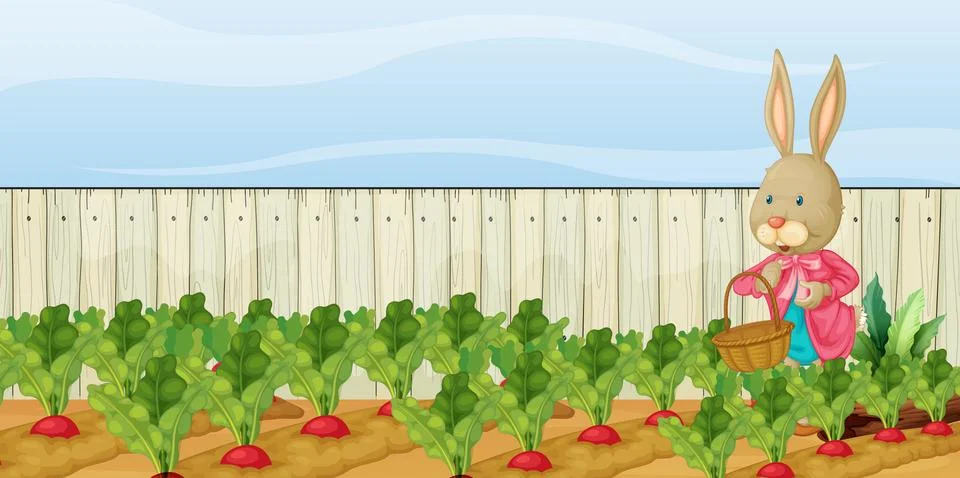 A cute bunny collecting beetroot Stock Illustration
