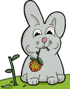 Cute Bunny Eating Stock Illustration