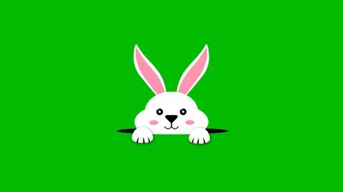 Cute bunny looking from hole animation on green screen Stock Illustration