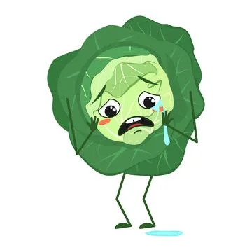 Cute cabbage character with crying and tears emotions, face, arms and legs. The Stock Illustration