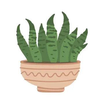 Cute cacti and succulent in pot on white background. Vector illustration. Stock Illustration