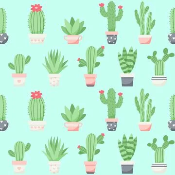 Cute cactus and succulents pattern, vector illustration in flat style Illustration