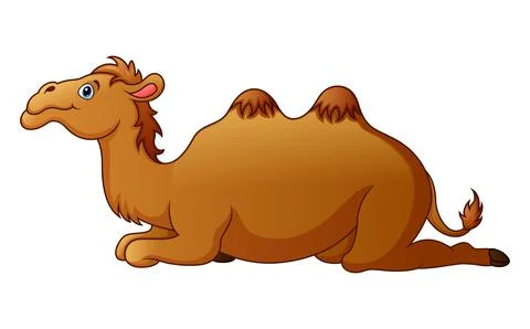 Cute camel cartoon Stock Illustration