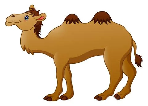 Cute camel cartoon Stock Illustration