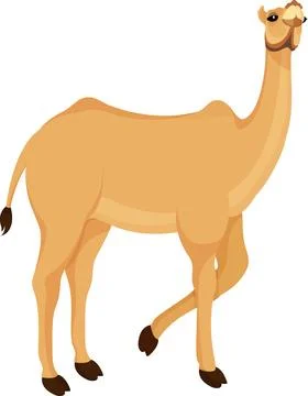 Cute Camel Character Vector Illustration. Stock Illustration