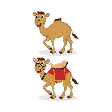 Cute camel Stock Illustration
