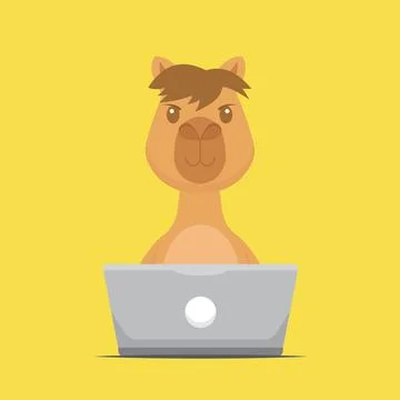 Cute Camel Working with Laptop Stock Illustration