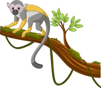 Cute capuchin monkey on a tree branch Stock Illustration