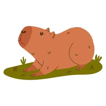 Cute capybara character. Exotic rodent relaxing on grass. Hand drawn vector.. Stock Illustration