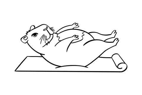 A cute capybara does yoga. Vector hand drawn. For coloring books, postcards,  Stock Illustration