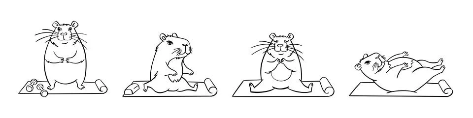 A cute capybara does yoga. Vector illustration hand drawn. Stock Illustration
