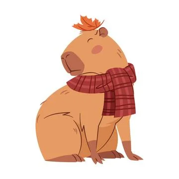 Cute Capybara with Maple Leaf on Head and Plaid Scarf. Funny Cartoon Rodent.. Stock Illustration
