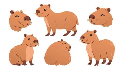 Cute capybara set. Funny flat cartoon animal collection. Kawaii hand drawn Stock Illustration