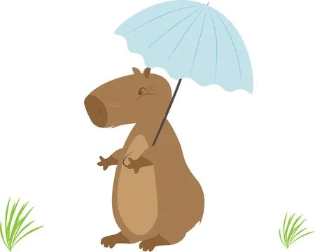 A cute capybara with an umbrella. Vector illustration. Funny capybara for p.. Stock Illustration