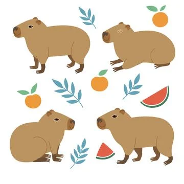 Cute capybara in various positions isolated on white background. Vector han.. Stock Illustration