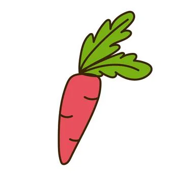 Cute carrot hand-drawn Stock Illustration