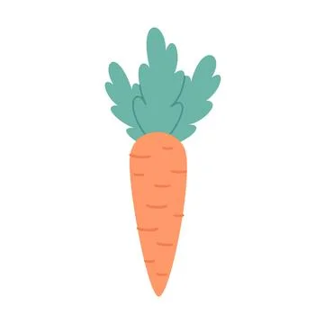 Cute carrot. Root vegetables. Hand drawn vector illustration Иллюстрация