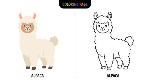 A cute cartoon alpaca shown in two versions: one colored and one as a black a Stock Illustration