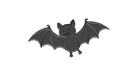 Cute Cartoon Bat Flying Animation Hand Drawn Motion Graphic Stock Footage 343804973