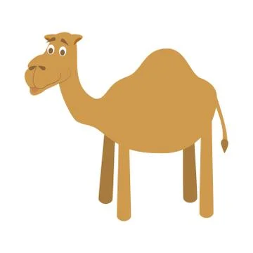 Cute cartoon camel vector illustration Stock Illustration