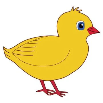 Cute Cartoon Chick Vector on Isolated White Background Stock Illustration
