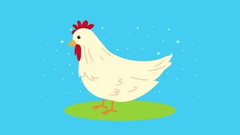 Cute cartoon chicken standing in a simple flat style animation on blue back.. Stock Footage 338365662