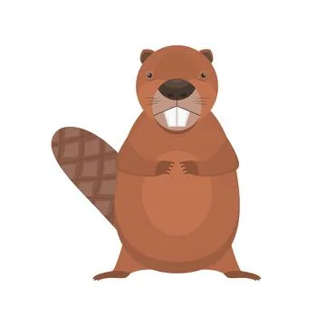 Cute cartoon flat vector standing beaver character Stock Illustration