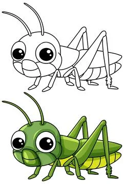 Cute Cartoon Grasshopper Vector Illustration in Color and Line Art イラスト素材