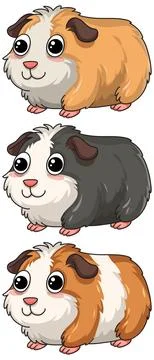 Cute Cartoon Guinea Pig Vector Illustration Set with Different Fur Colors Illustrazione stock
