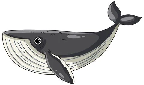 Cute Cartoon Humpback Whale Vector Illustration Isolated on White Background Stock Illustration