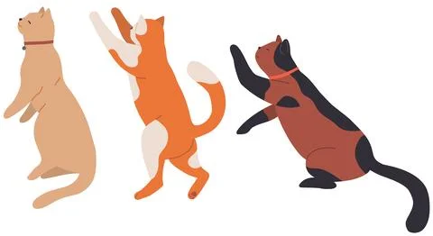 Cute cartoon kitty set with ginger fur sitting side view. Cat shorthair home Stock Illustration