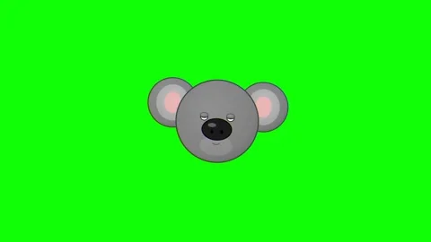 Cute Cartoon Koala Head Animation on Green Screen 4K Video Video stock 333598978
