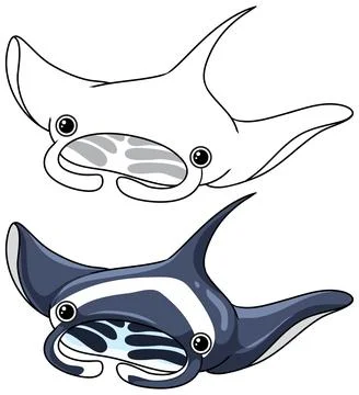 Cute Cartoon Manta Ray Vector Illustration in Color and Line Art Stock Illustration