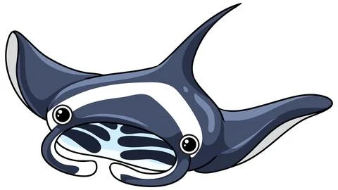 Cute Cartoon Manta Ray Vector Illustration Isolated on White Background 스톡 일러스트