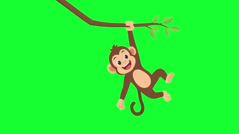 Cute cartoon monkey swinging on tree branch loop on green screen and white .. Stock Footage 340382691