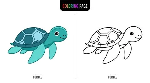 Cute cartoon sea turtle shown in two versions: one colored blue-green, and on Illustration