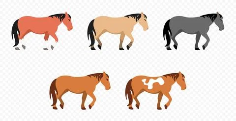 Cute cartoon set of horses vector illustration Stock Illustration