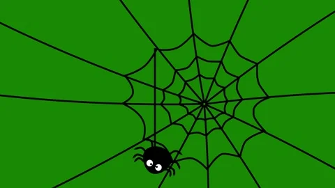 Cute cartoon spider make spiderweb and hanging Stock Footage 320014446
