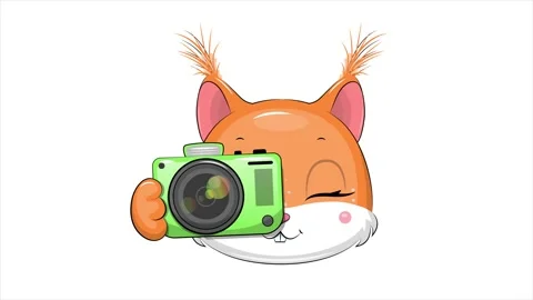 Cute cartoon squirrel with camera. Stock Footage 326875905