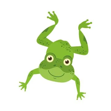 Cute cartoon toad Stock Illustration