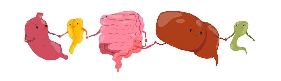 Cute cartoon vector human five organs set on white background Stock Illustration