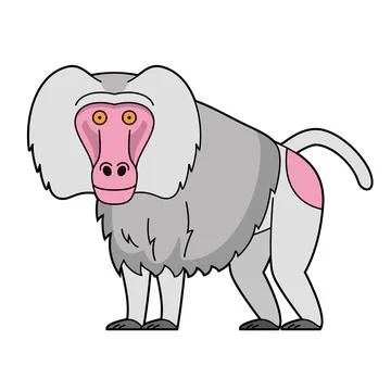Cute cartoon vector illustration of a baboon Hamadryas or Sacred Bapio isol.. Stock Illustration