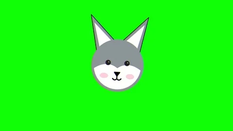 Cute Cartoon Wolf Face Animation on Green Screen 4K Video Stock Footage 333599053
