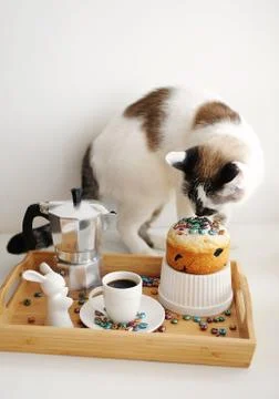 Cute cat and Easter still life. Coffee and cake. Espresso maker moka pot. White Stock Photos