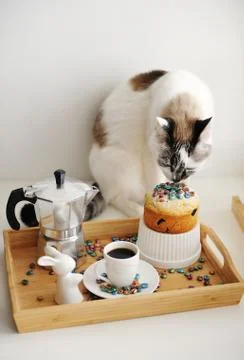 Cute cat and Easter still life. Coffee and cake. Espresso maker moka pot. White Foto stock