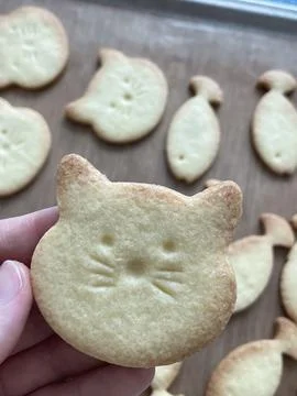 Cute cat and fish shape animal cookie. 스톡 사진