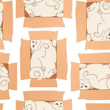 Cute cat in box seamless pattern vector design. Cute funny cats isolated on Stock Illustration