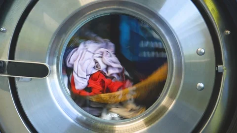 Cute cat caresses Video stock 96612434