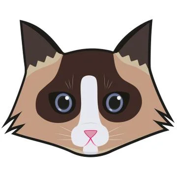 Cute cat chatacter cartoon face Stock Illustration