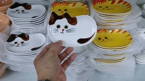 Cute Cat Design Plate Stock Footage 159291321